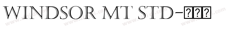 Windsor MT Std字体转换 Windsor MT Std字体转换